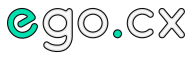 🌐 EgoCX (Custom eXperience)